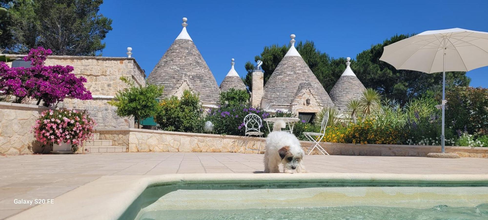 Villa Trullo Bosco Libero Ostuni Exterior foto